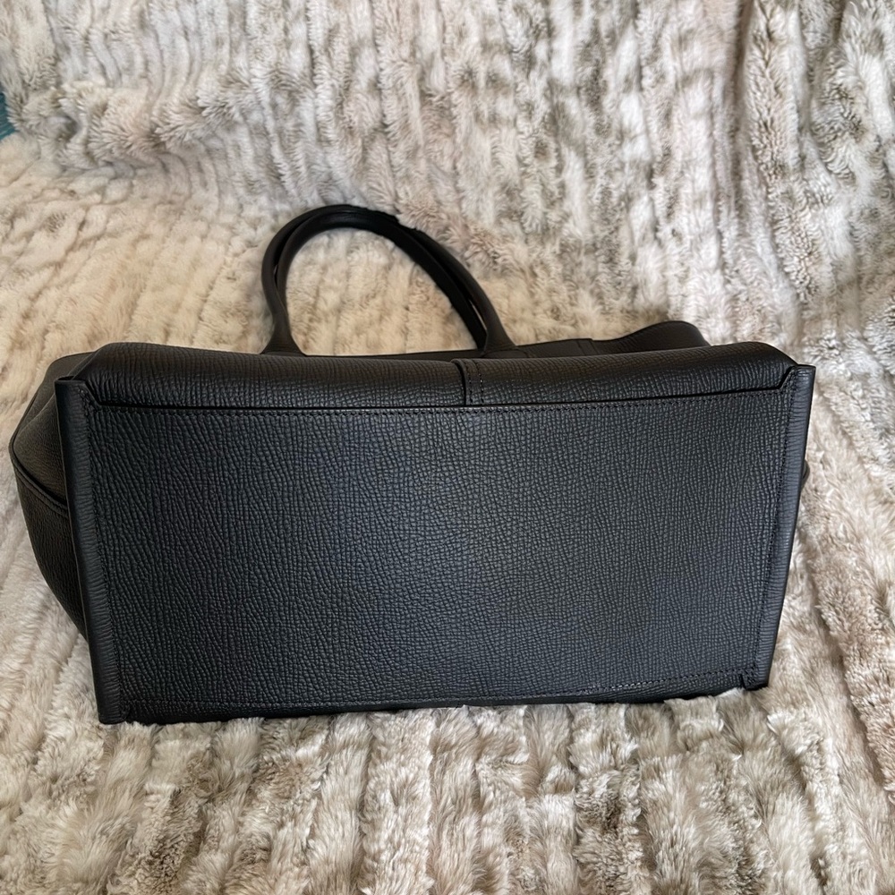 Longchamp Pairs Bag Sz Large - Picture 9 of 16